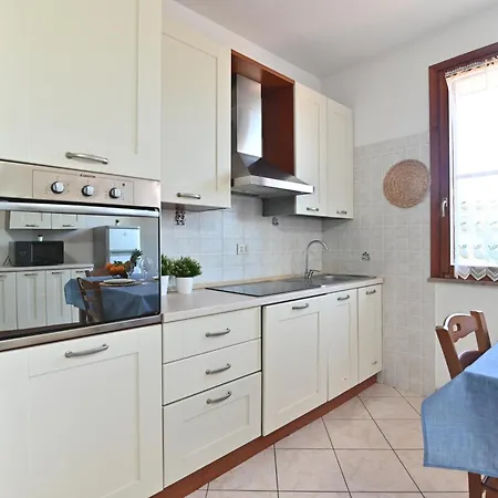 Izzhome Orange Tree Pula