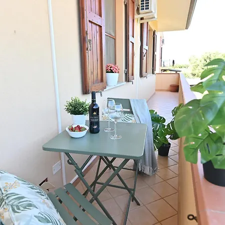Izzhome Orange Tree