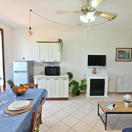 Izzhome Orange Tree * Pula