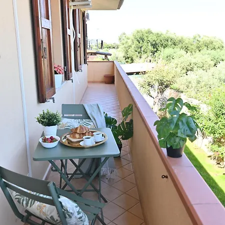 Izzhome Orange Tree * Pula