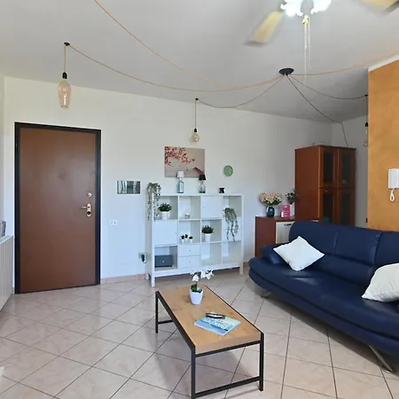 Izzhome Orange Tree * Pula