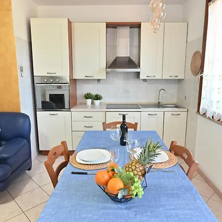 Izzhome Orange Tree * Pula