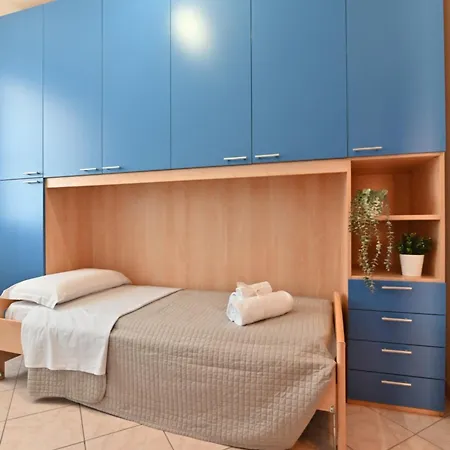Izzhome Orange Tree Pula