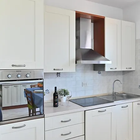 Izzhome Orange Tree * Pula